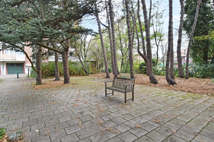 Foto 52 van Ranonkelstraat 171