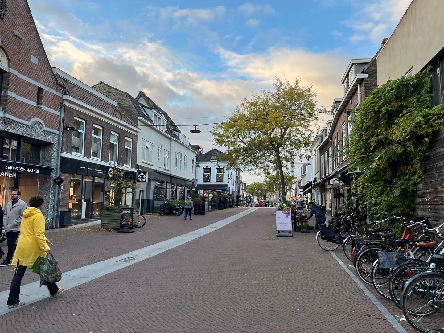 Bekijk foto 5 van Rijnstraat 59-C