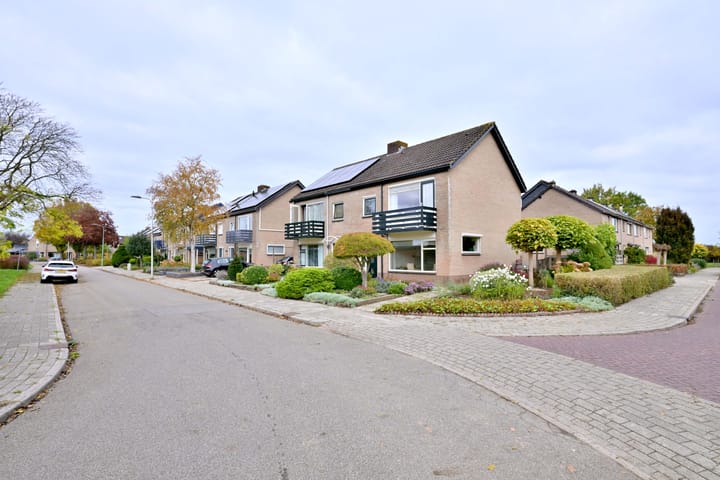 Foto 43 van Buizerdstraat 21