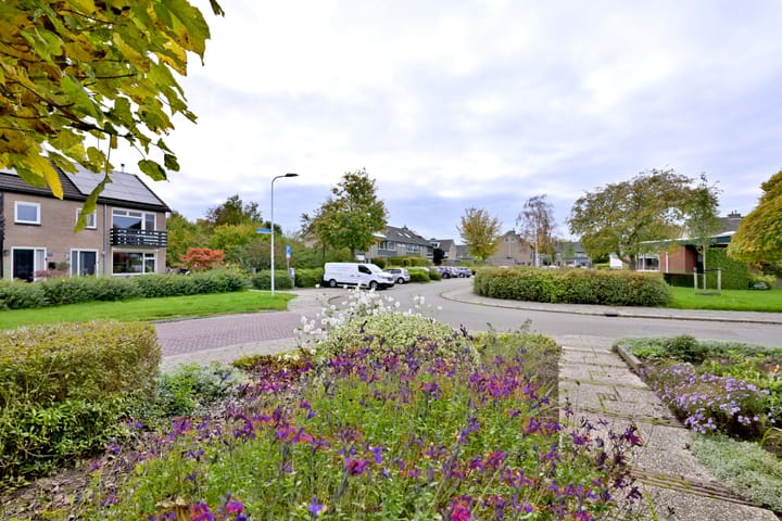 Foto 44 van Buizerdstraat 21