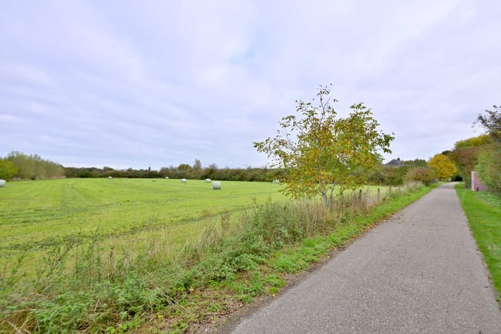 Foto 45 van Buizerdstraat 21