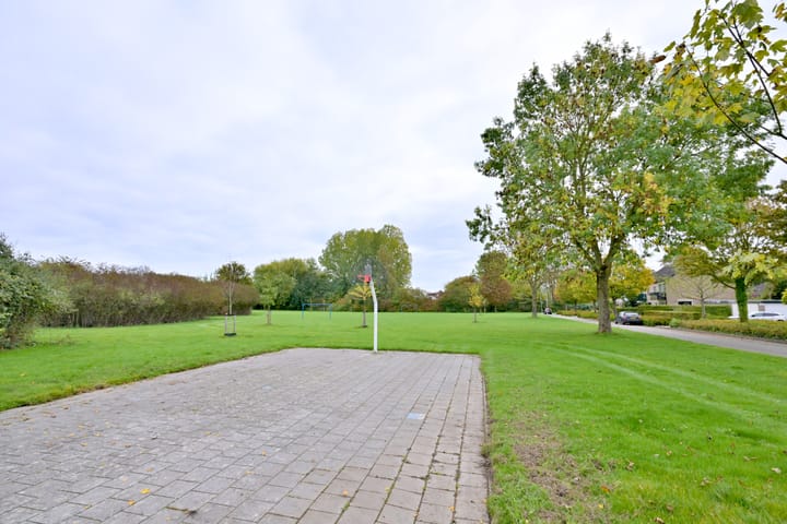 Foto 46 van Buizerdstraat 21