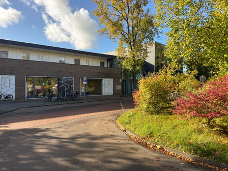 undefined main image