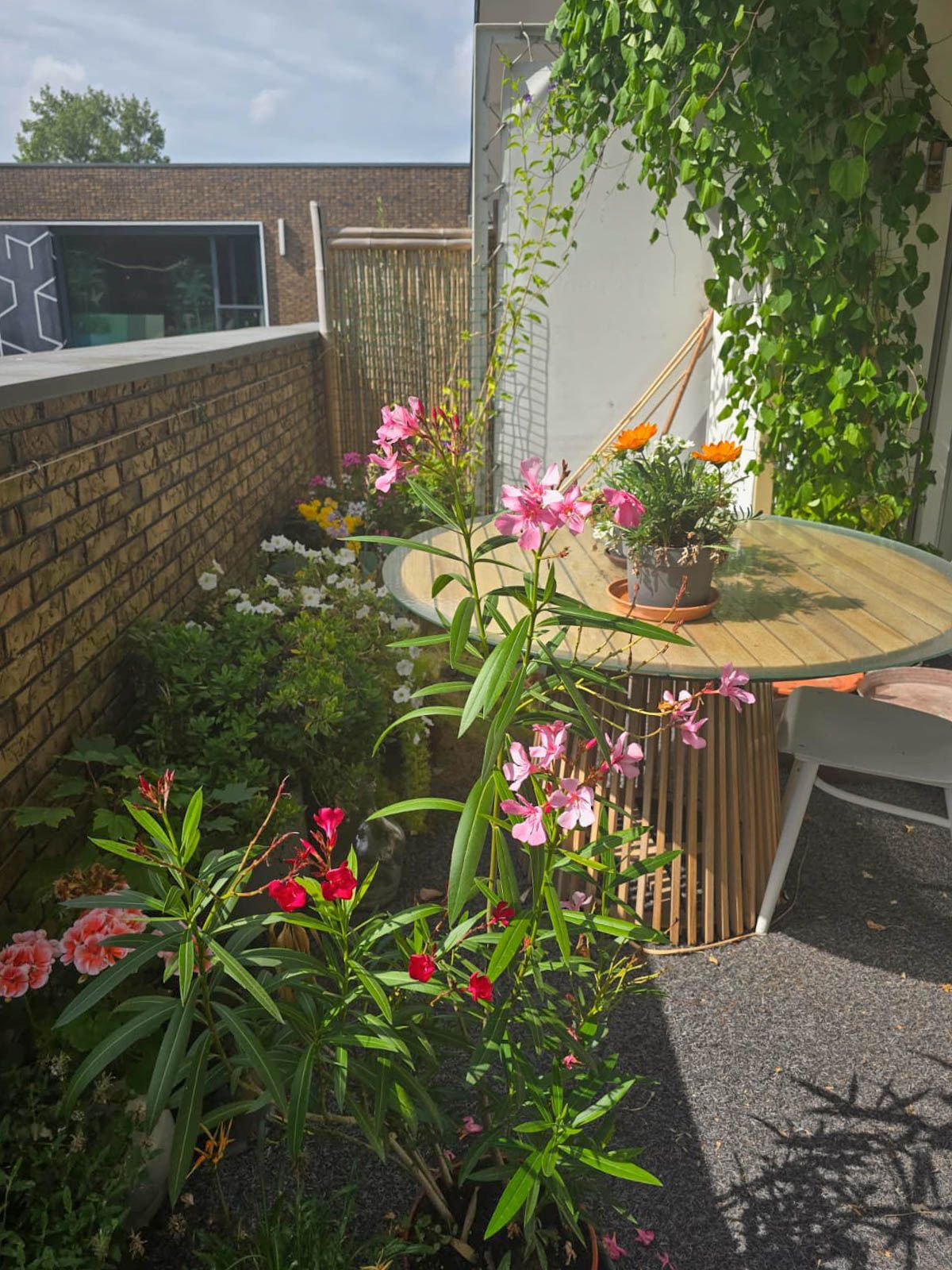 Foto 19 van Zakedijkje 38-D