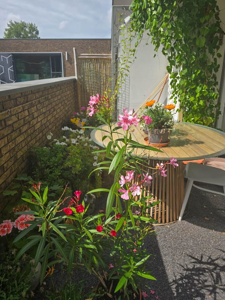 Photo 19 of Zakedijkje 38-D