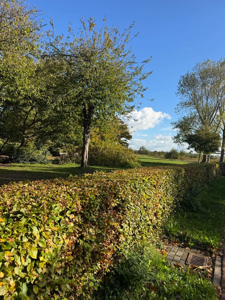 Photo 22 of Zakedijkje 38-D