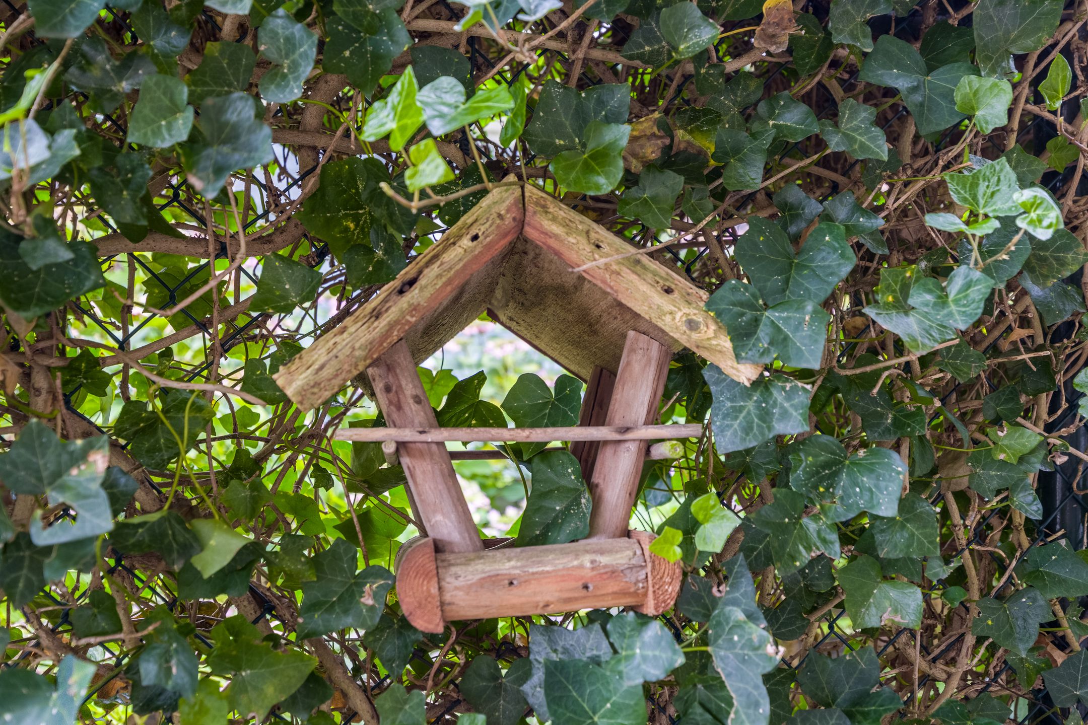 Foto 54 van Vlammertsehof 217