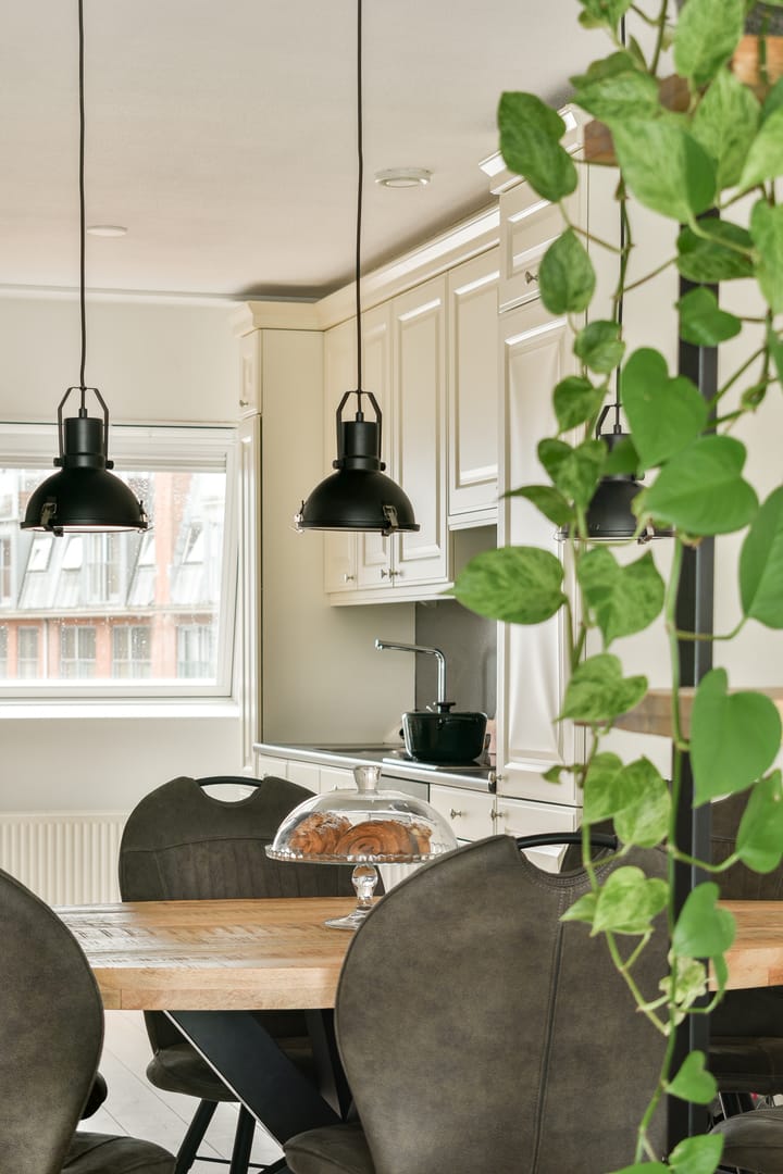 Foto 7 van Prins Frederikplein 419