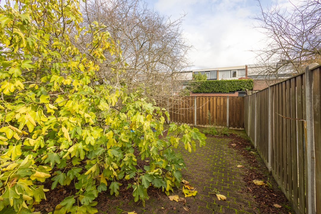 Foto 37 van Zuiderstraat 19