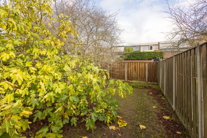 Foto 37 van Zuiderstraat 19