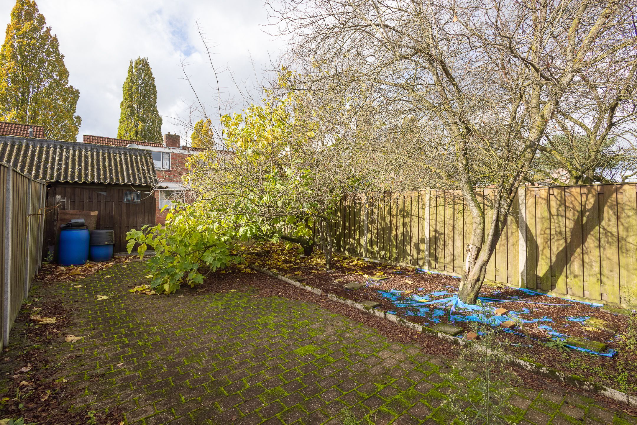 Foto 39 van Zuiderstraat 19