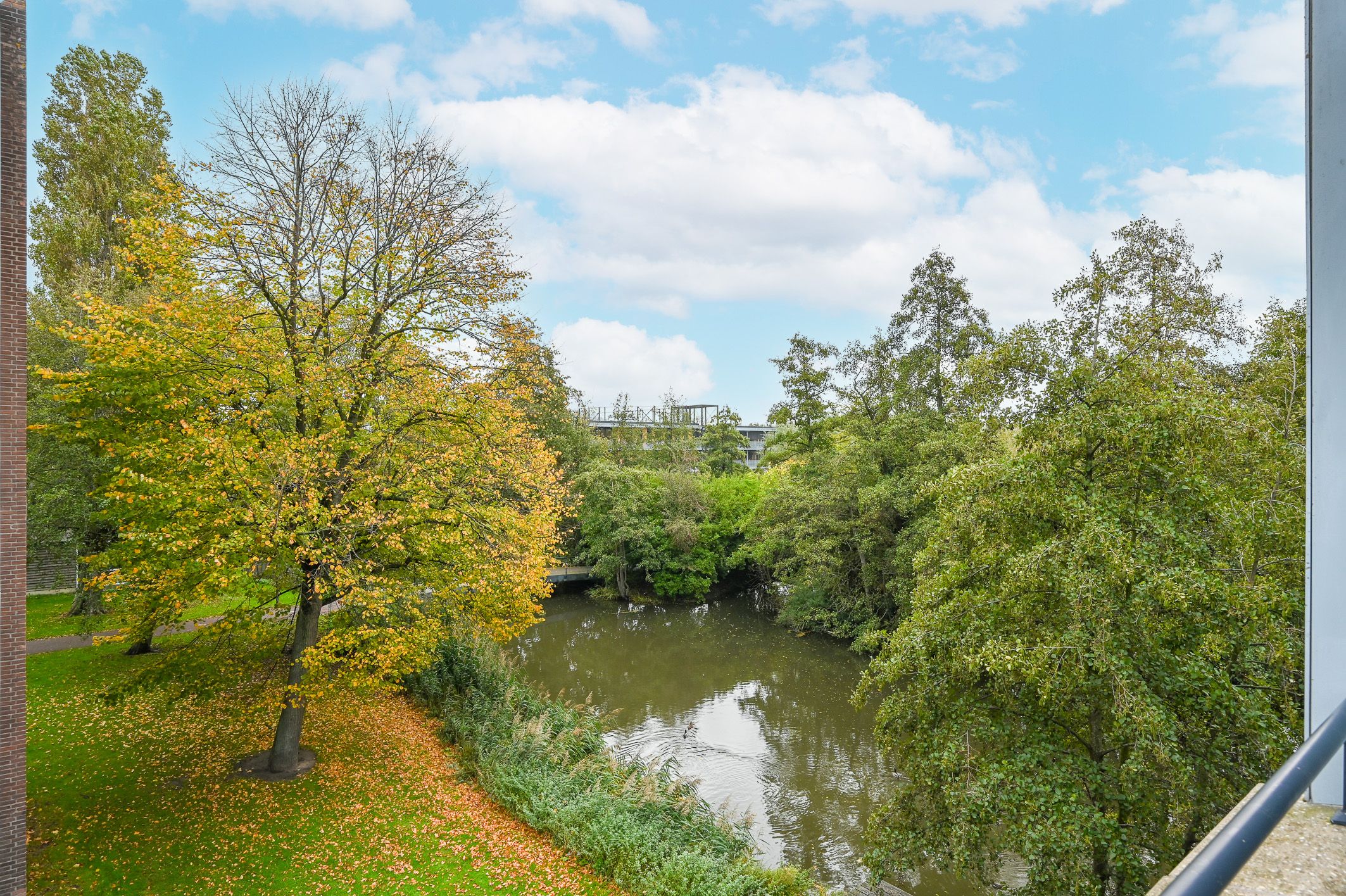 Photo 36 of Johannes Muldersstraat 45