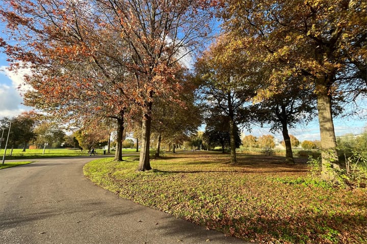 Photo 23 of Dosiohof 8