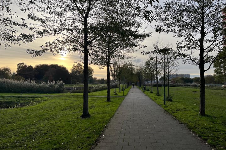 Photo 24 of Dosiohof 8