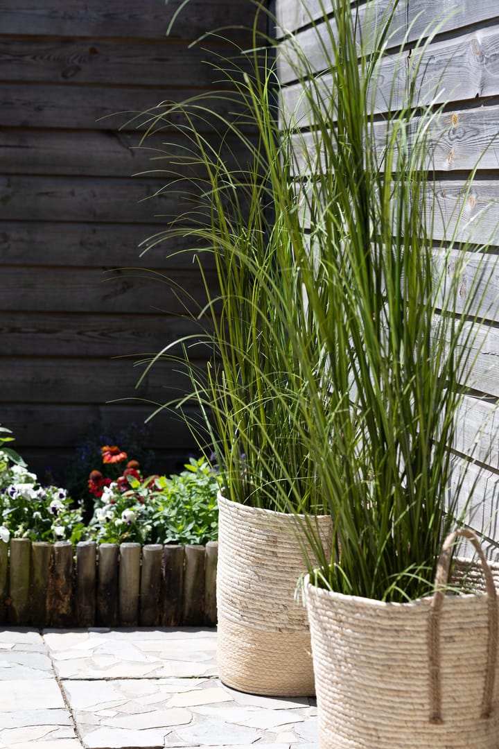 Foto 25 van Prins Hendrikstraat 20