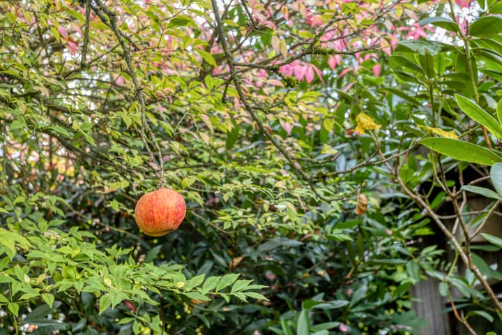 Photo 43 of het Swennink 1