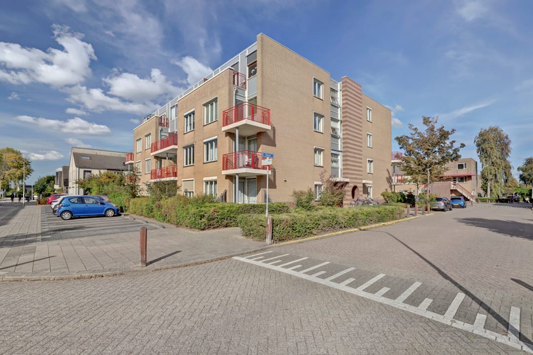 Photo 1 of Kievit 11