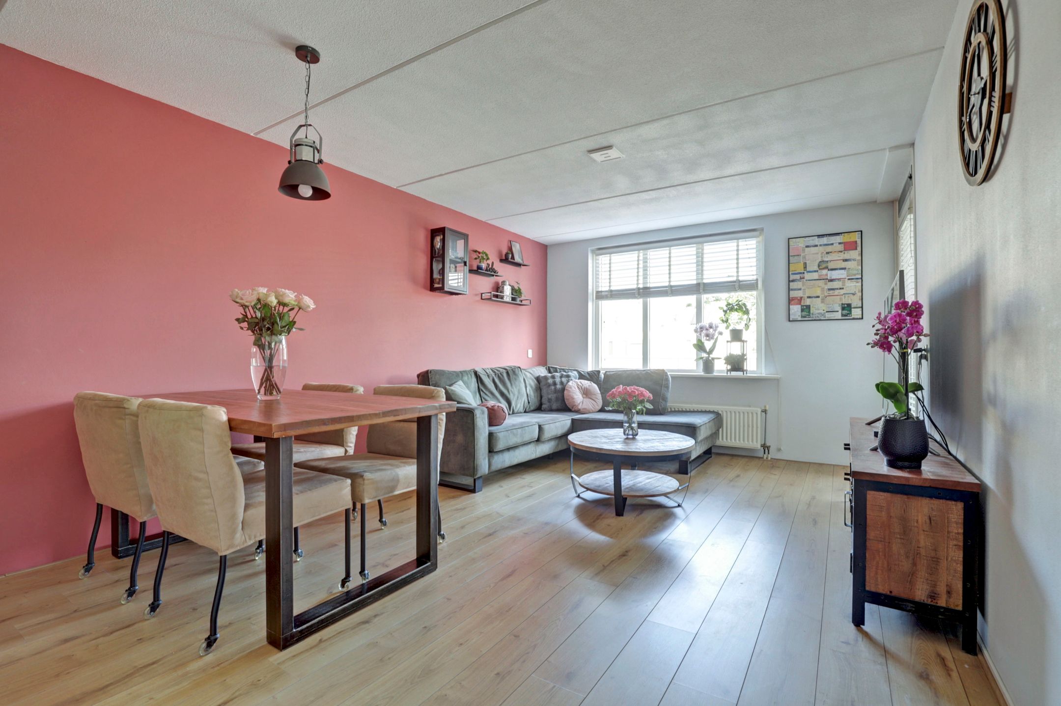 Photo 3 of Kievit 11