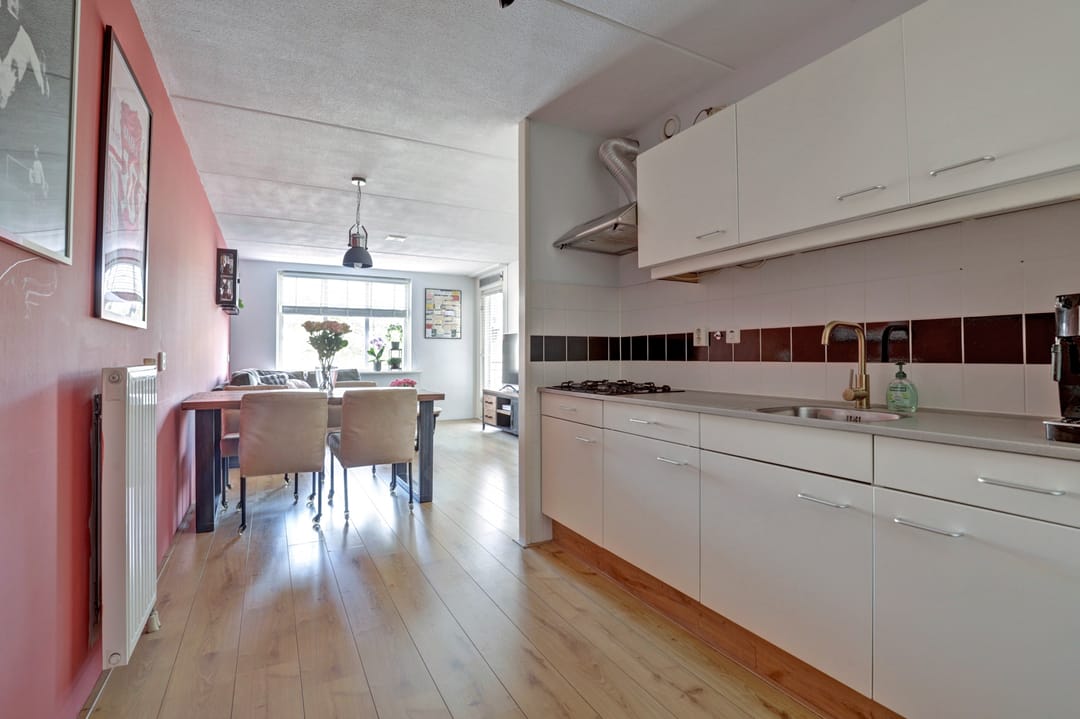 Photo 11 of Kievit 11