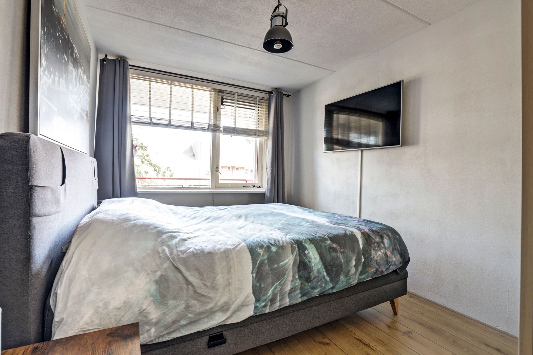 Photo 12 of Kievit 11