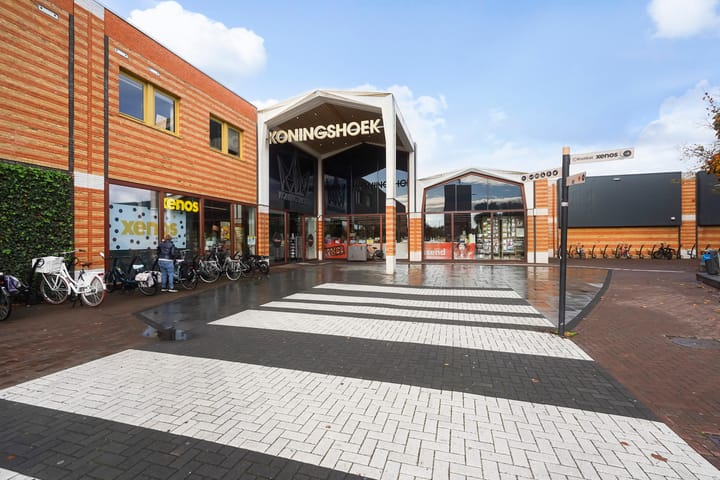 Foto 45 van Schubertlaan 113