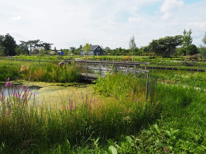 Foto 41 van Tuinstraat 13