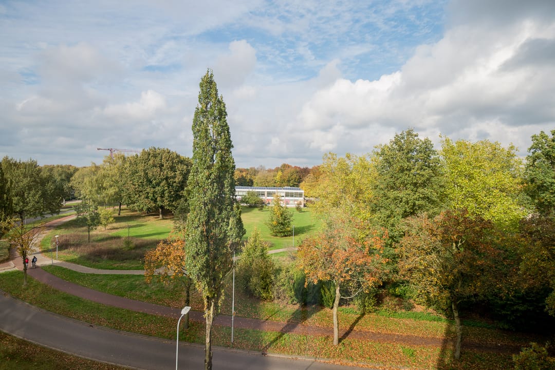 Foto 26 van Abdijtuinen 264