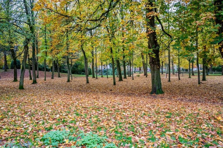 Foto 25 van van der Helstpark 57