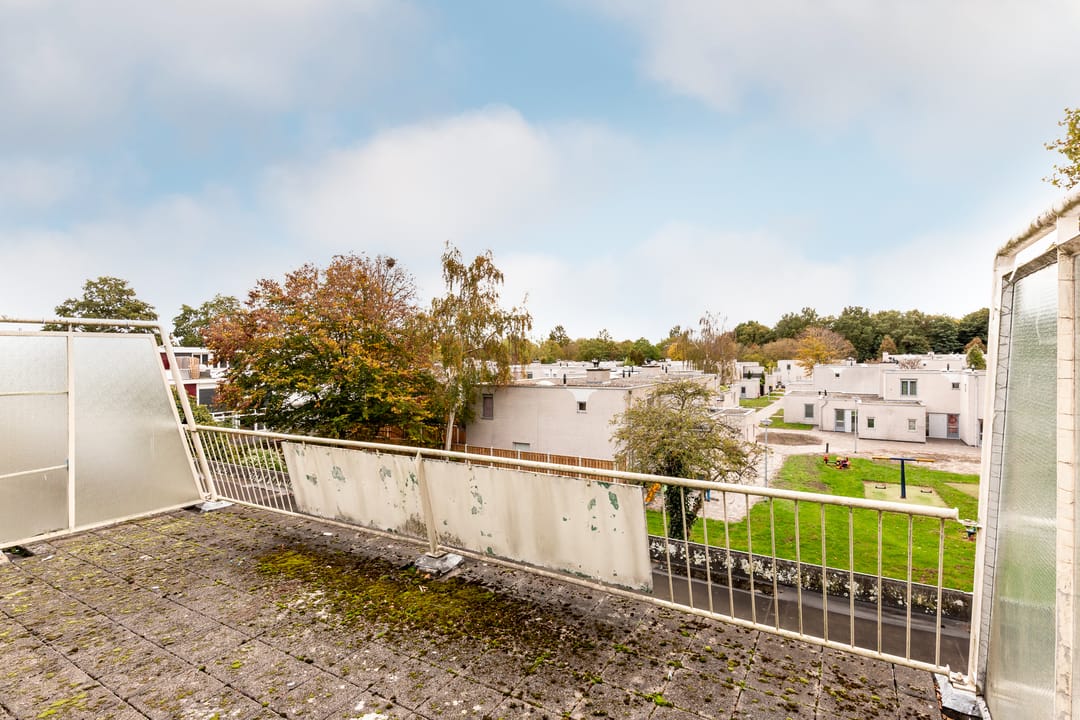 Photo 26 of Zandbank 60