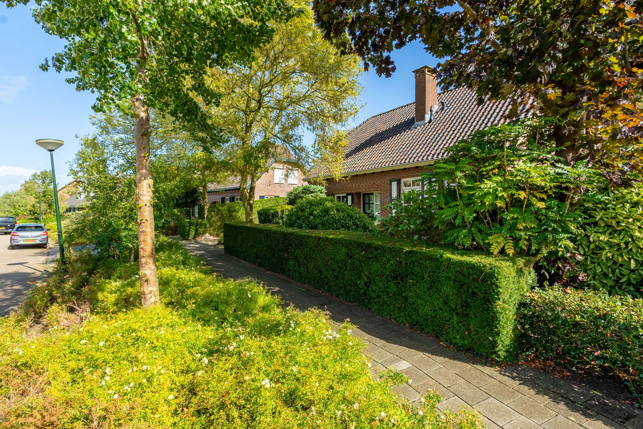 Photo 9 of Anemoonstraat 6