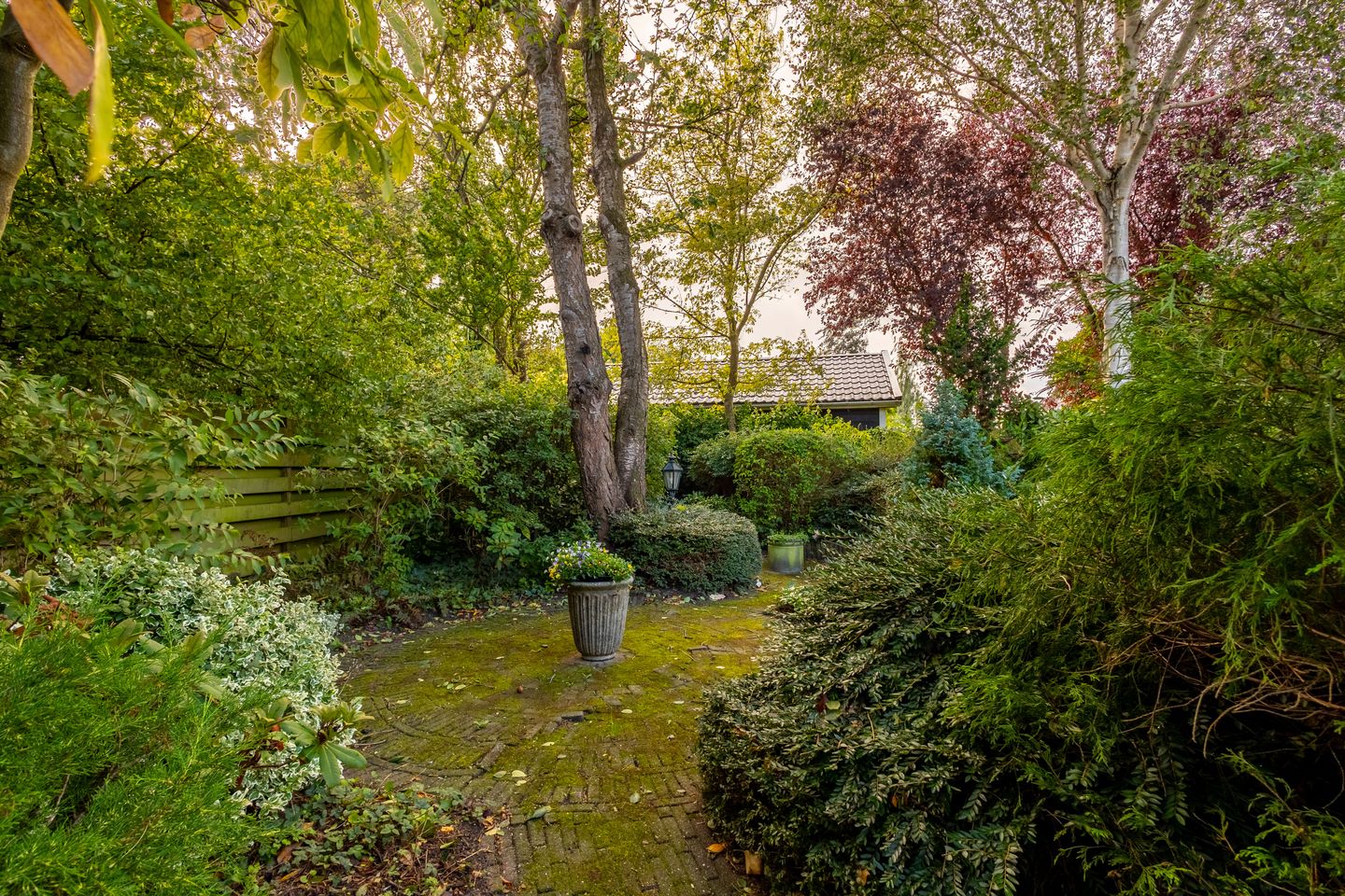 Photo 59 of Anemoonstraat 6