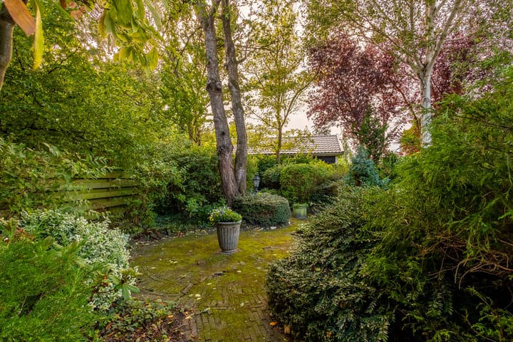 Foto 59 van Anemoonstraat 6