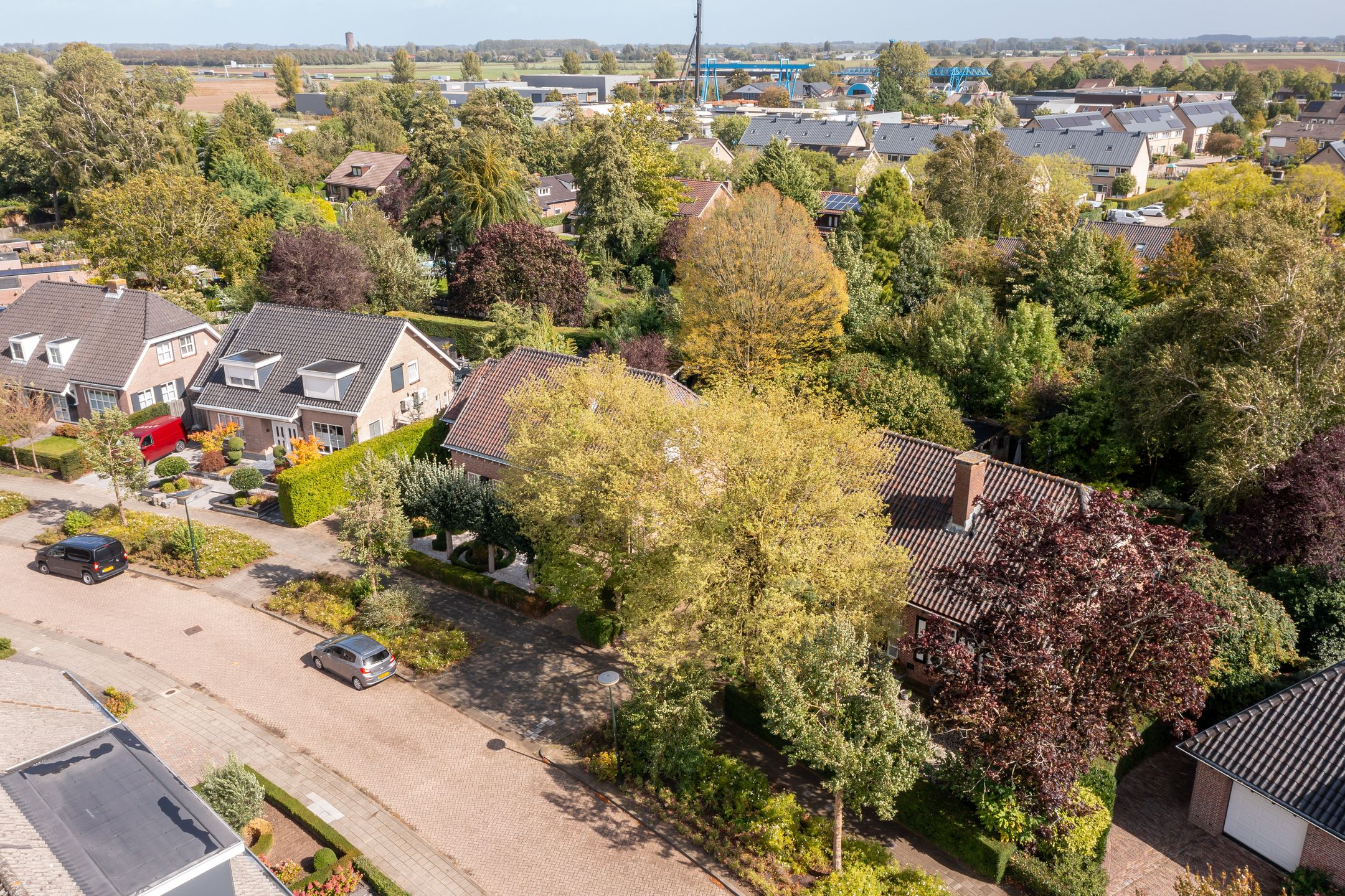 Photo 63 of Anemoonstraat 6