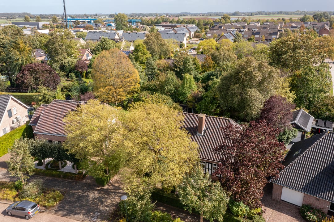 Photo 61 of Anemoonstraat 6