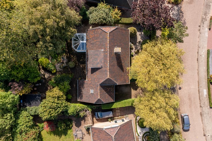 Foto 65 van Anemoonstraat 6