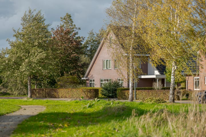 Kamperfoelie 11 main image