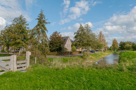 Kamperfoelie 11 secondary image