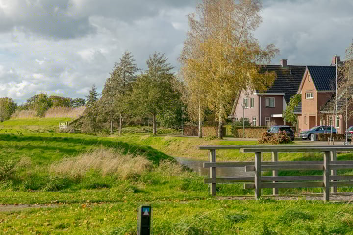 Foto 7 van Kamperfoelie 11