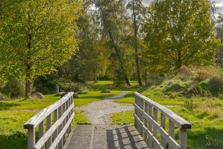 Foto 8 van Kamperfoelie 11