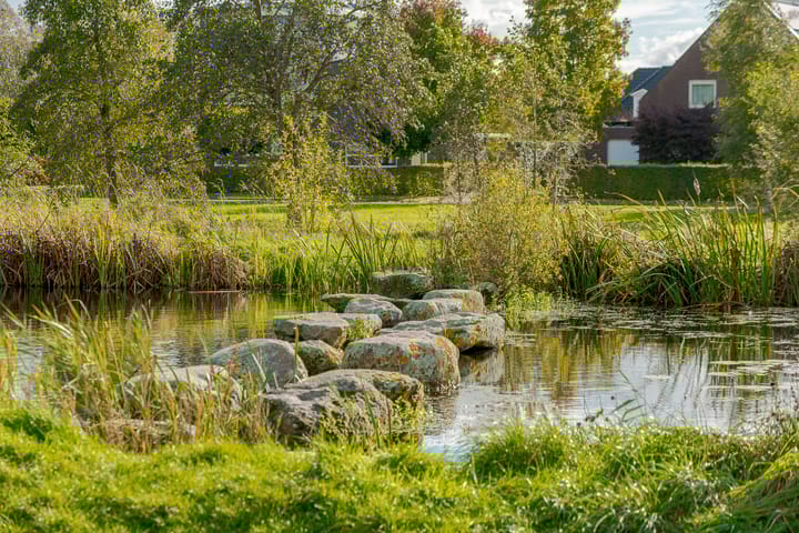 Foto 11 van Kamperfoelie 11