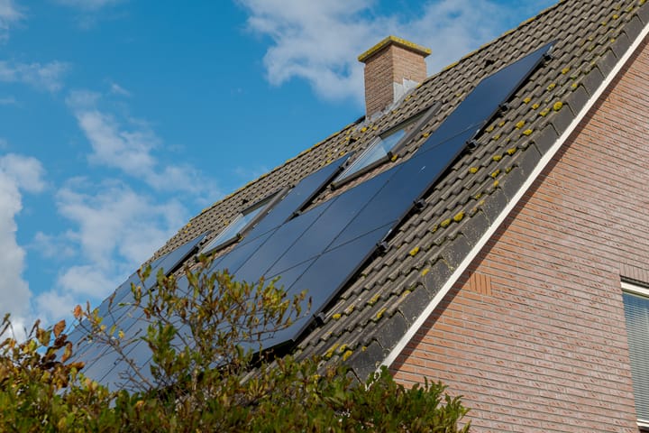 Foto 16 van Kamperfoelie 11