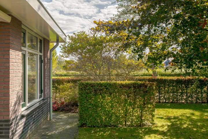 Foto 32 van Kamperfoelie 11