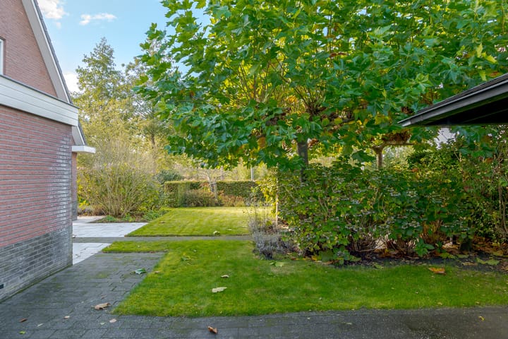 Foto 37 van Kamperfoelie 11