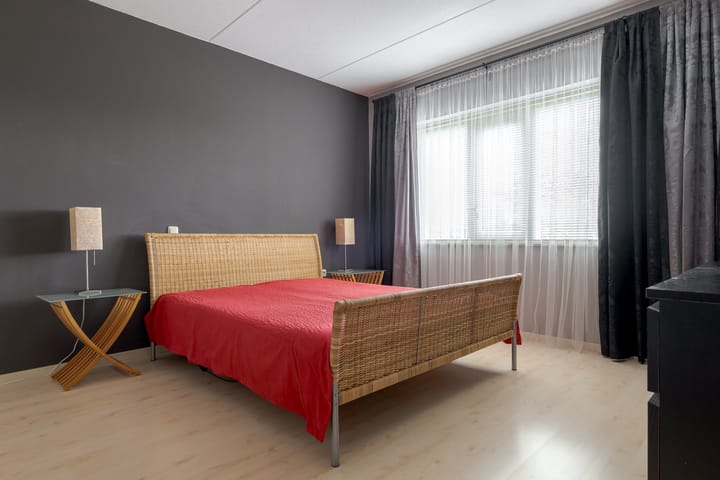 Foto 45 van Kamperfoelie 11