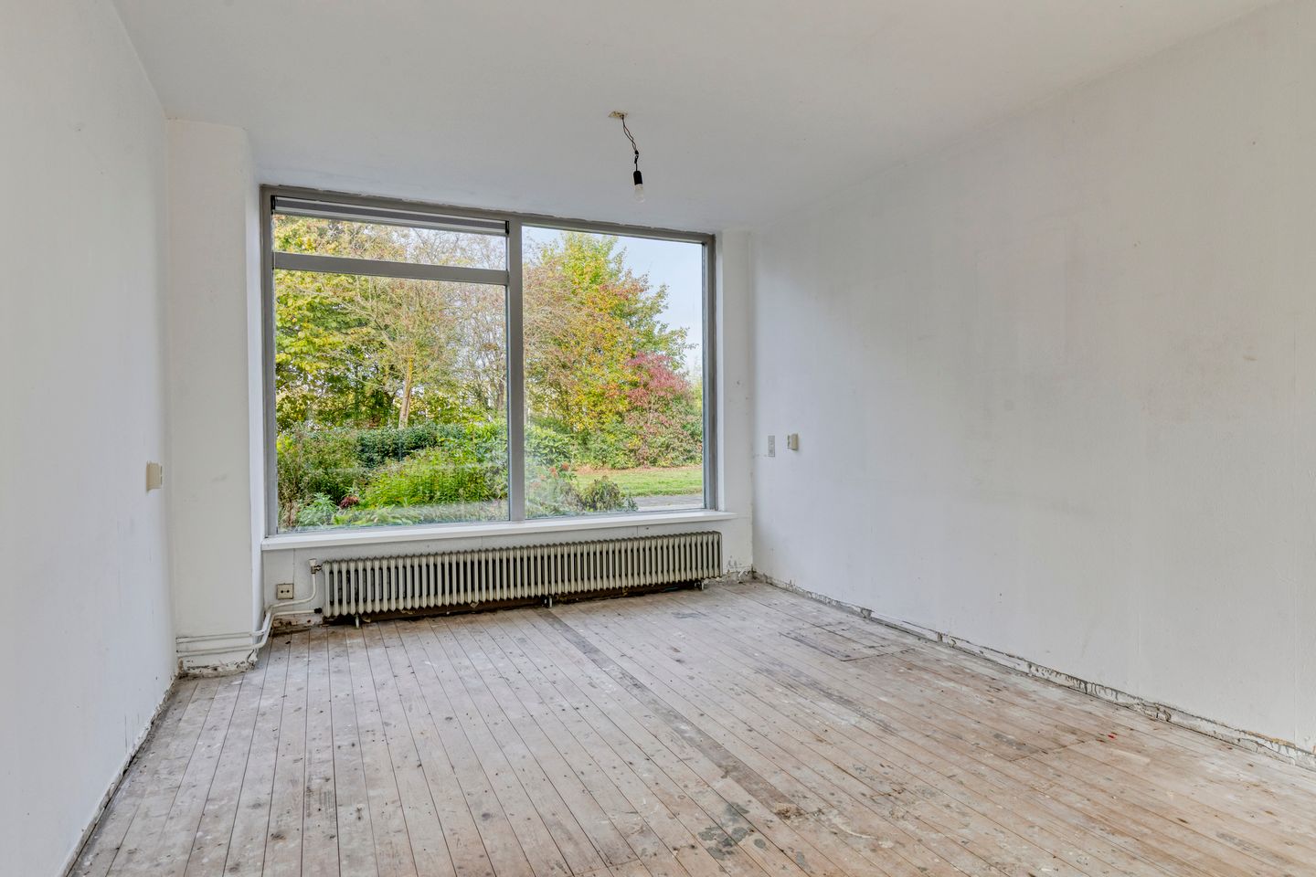 Photo 10 of Wikkestraat 61