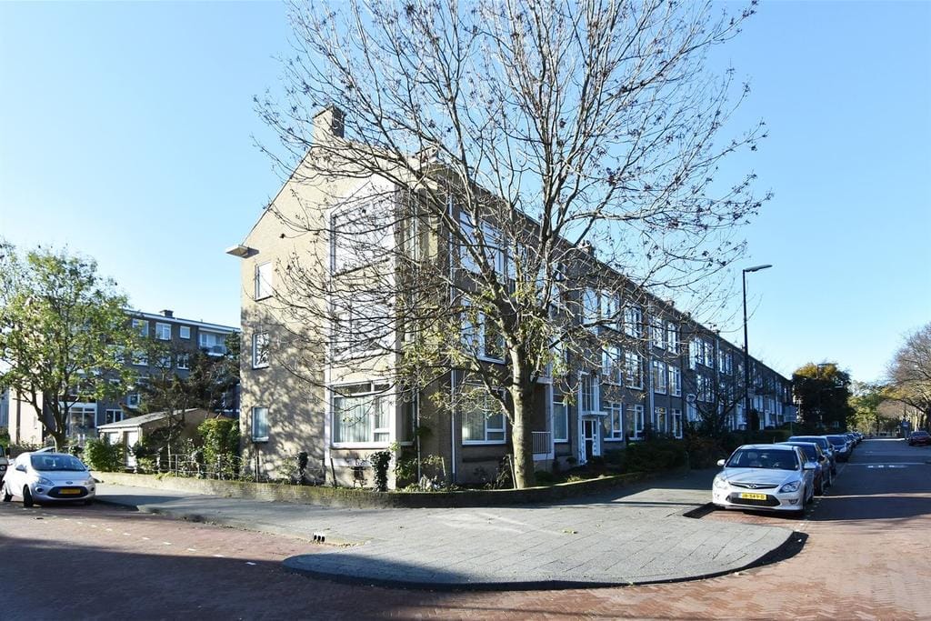 Photo 37 of Thérèse Schwartzestraat 20