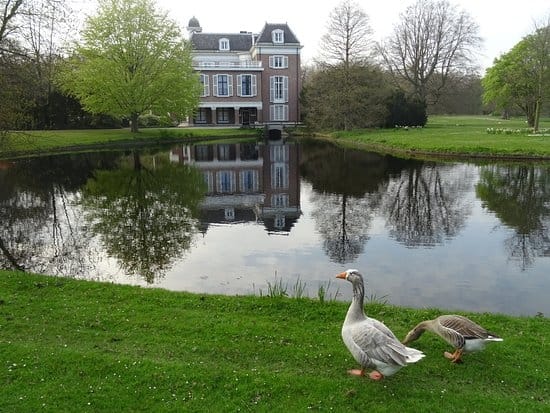 Photo 38 of Thérèse Schwartzestraat 20