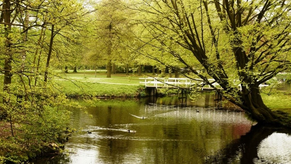 Photo 39 of Thérèse Schwartzestraat 20