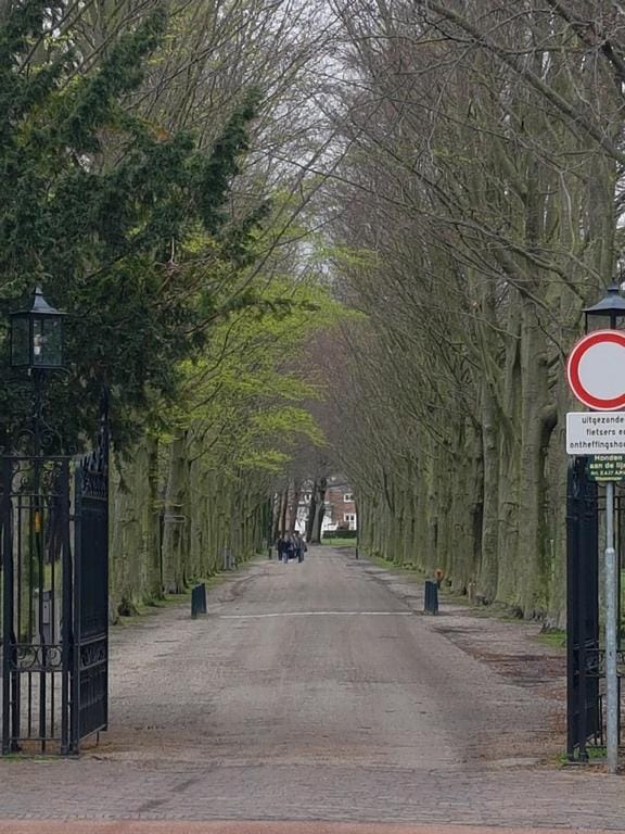 Photo 41 of Thérèse Schwartzestraat 20