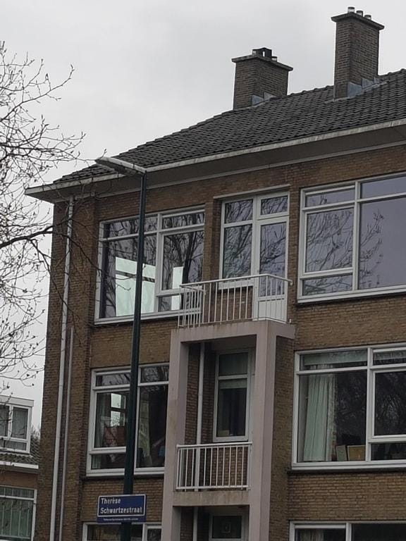 Photo 42 of Thérèse Schwartzestraat 20